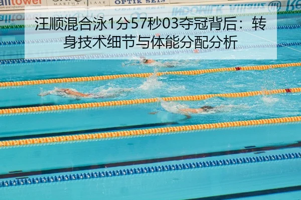 wang-shun-hun-he-yong-fen-miao-duo-guan-bei-hou-zhuan-shen-ji-shu-xi-jie-yu-ti-neng-fen-pei-fen-xi-3-727.jpg